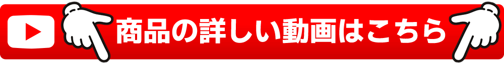 動画はこちら